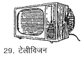 टेलीविजन चुनाव चिन्ह 