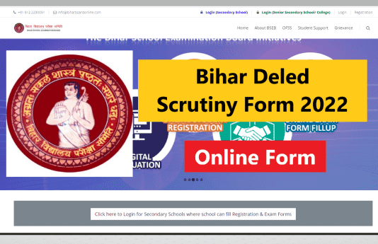 Bihar D.EL.ED Scrutiny Online Form 2022, बिहार डी.एल.एड स्क्रूटिनी ऑनलाइन फॉर्म 2022, Bihar DELED Scrutiny Form