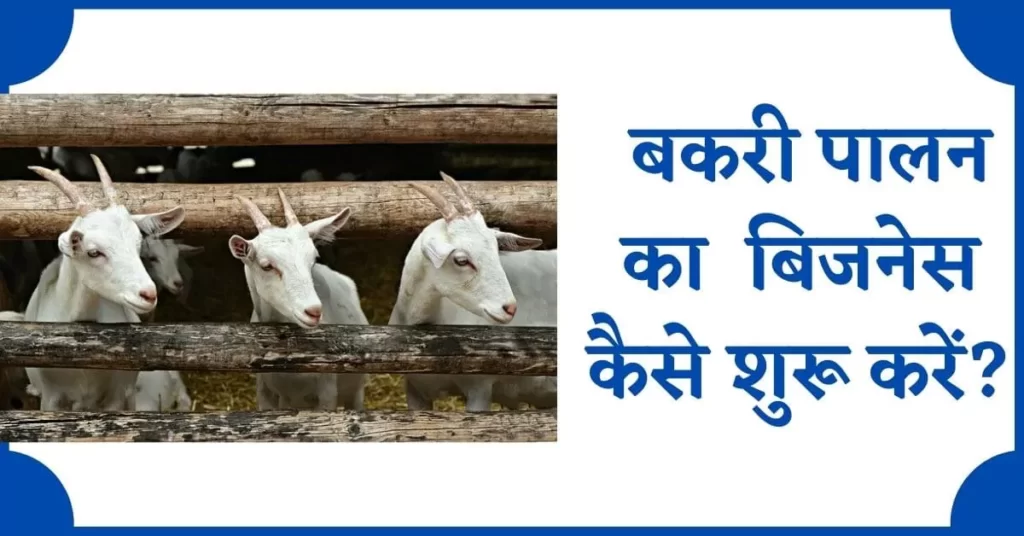 बकरी पालन करके पैसे कैसे कमायें, बकरी पालन कैसे करें, Bakri Palan Business, गाँव में बकरी पालन कैसे करें, बकरी पालन व्यवसाय क्या होता हैं?