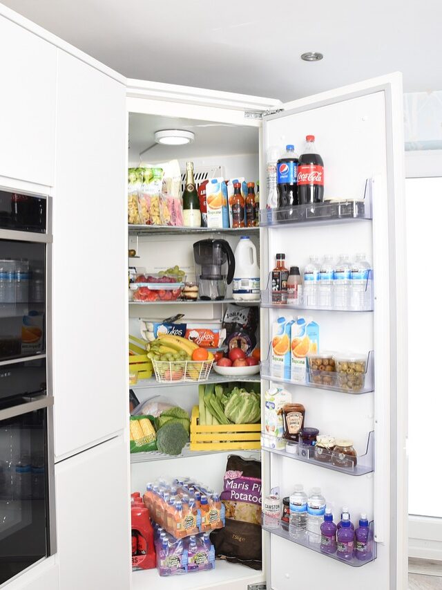 Single Door Fridge Review In Hindi